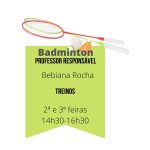 DE 23-24 Badminton