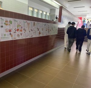 2-Exposição completa