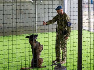16-BaseFA